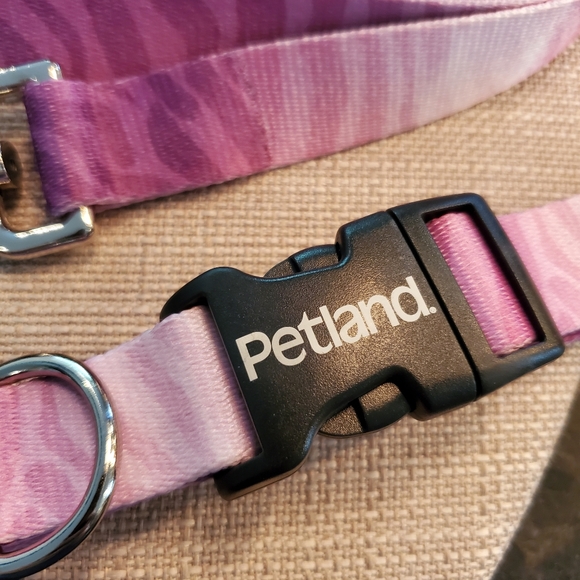 🐕 pink/purple zebra print large dog collar and 6' leash - Picture 2 of 4